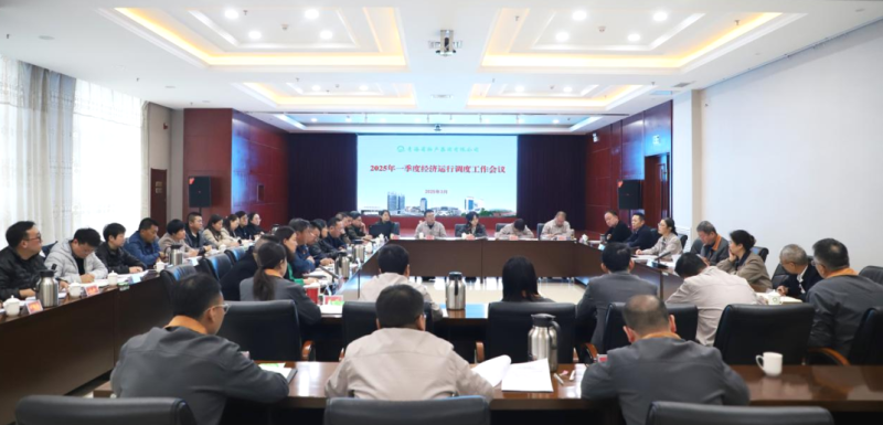 省星空娱乐集团召开2025年一季度经济运行调度工作会议