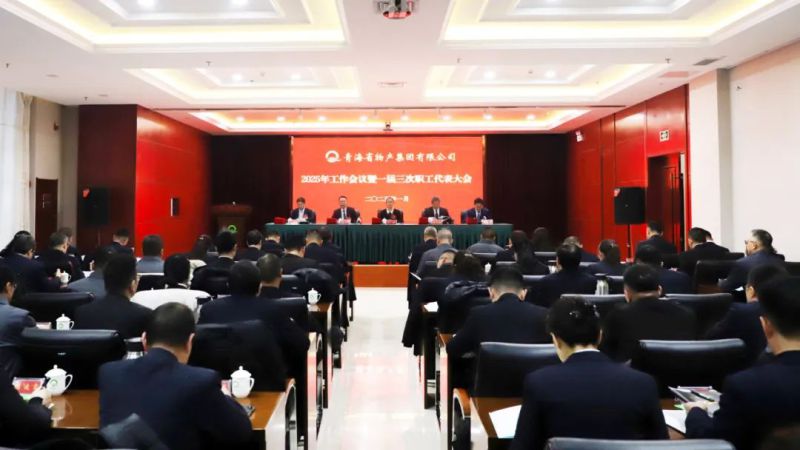 坚定信心促发展 实干争先攀新高——省星空娱乐集团2025年工作会议暨一届三次职代会胜利召开