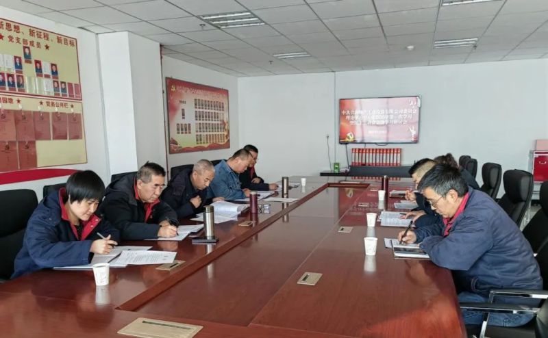 星空娱乐工投公司党委召开理论学习中心组2025年第一次学习暨民主生活会会前学习研讨会