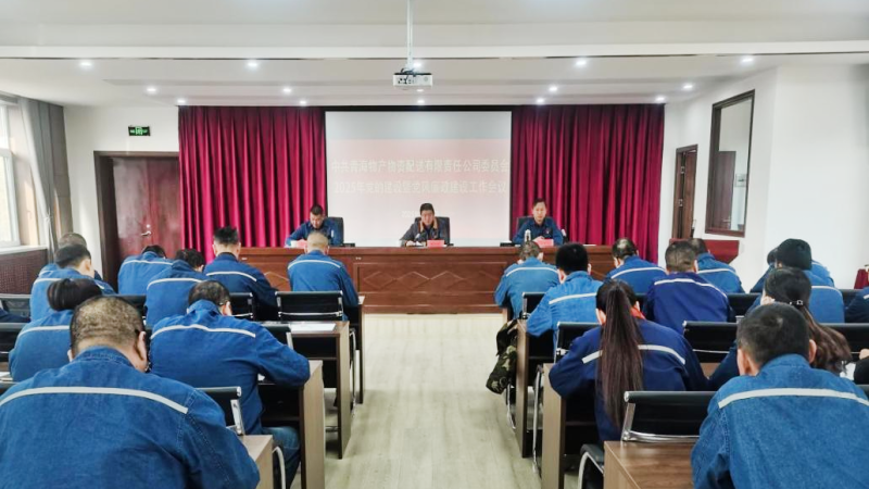 星空娱乐配送公司党委召开2025年党的建设暨党风廉政建设工作会议