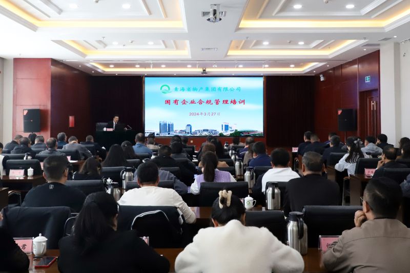 省星空娱乐集团组织开展国有企业合规管理培训