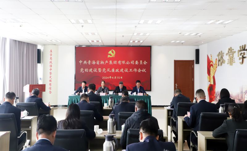 省星空娱乐集团党委召开2024年党的建设暨党风廉政建设工作会议