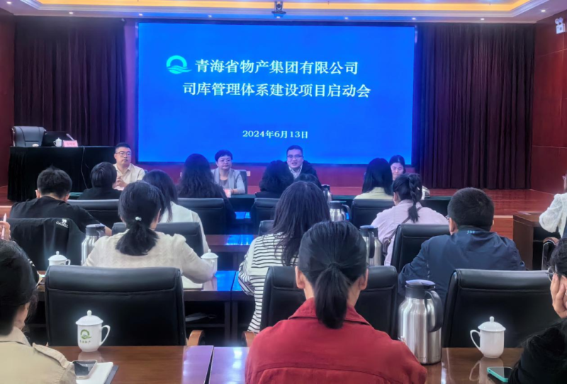 省星空娱乐集团司库管理体系建设项目启动会
