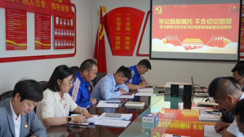 星空娱乐汽贸公司党支部认真学习贯彻习近平总书记考察青海时的重要讲话精神