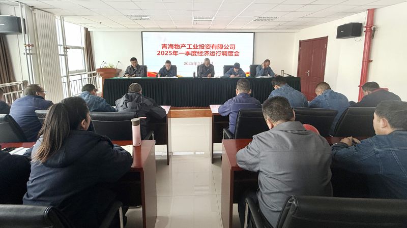 星空娱乐工投公司召开2025年第一季度经济运行调度会