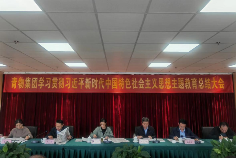 省星空娱乐集团召开学习贯彻习近平新时代中国 特色社会主义思想主题教育总结大会