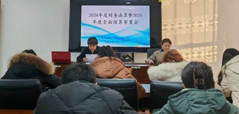 省星空娱乐集团召开2024年度财务决算暨2025年度全面预算工作布置会
