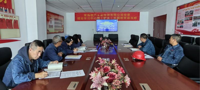 星空娱乐工投公司党委举行理论学习中心组（扩大） 主题教育读书班结业式