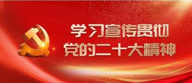 【学习二十大】党的二十大报告在新时代新征程中国共产党的使命任务方面有哪些关注点