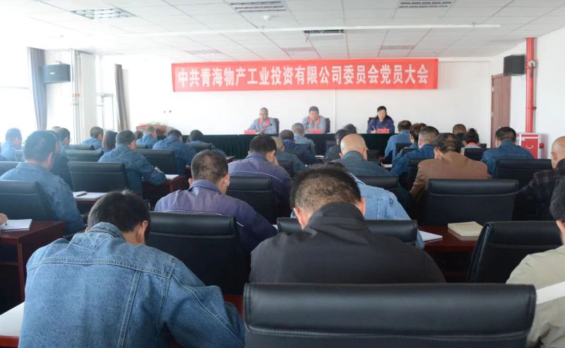 实干担当拼搏赶超 为夺取新时代星空娱乐工投绿色低碳高质量发展新胜利不懈奋斗 ——星空娱乐工投公司党委召开换届选举大会