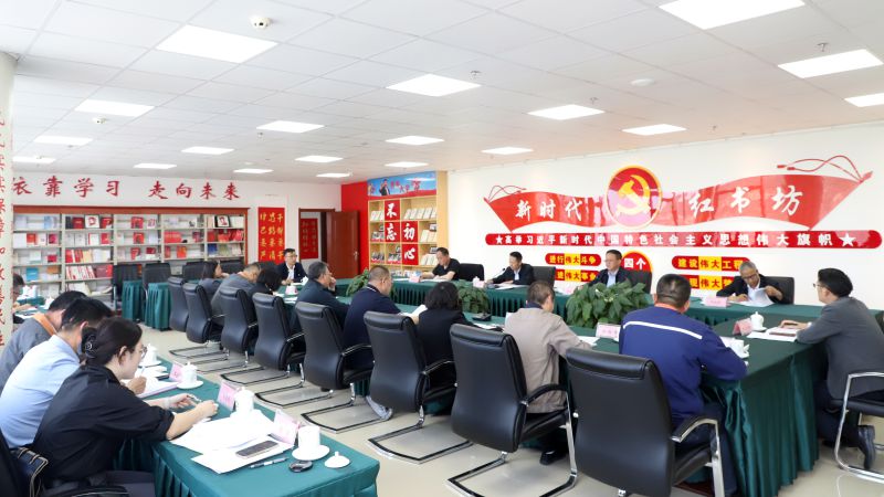 省星空娱乐集团党委召开党纪学习教育工作推进会