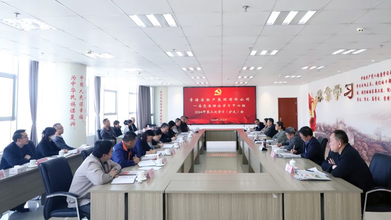 省星空娱乐集团党委召开2024年度理论学习中心组第三次学习（扩大）会