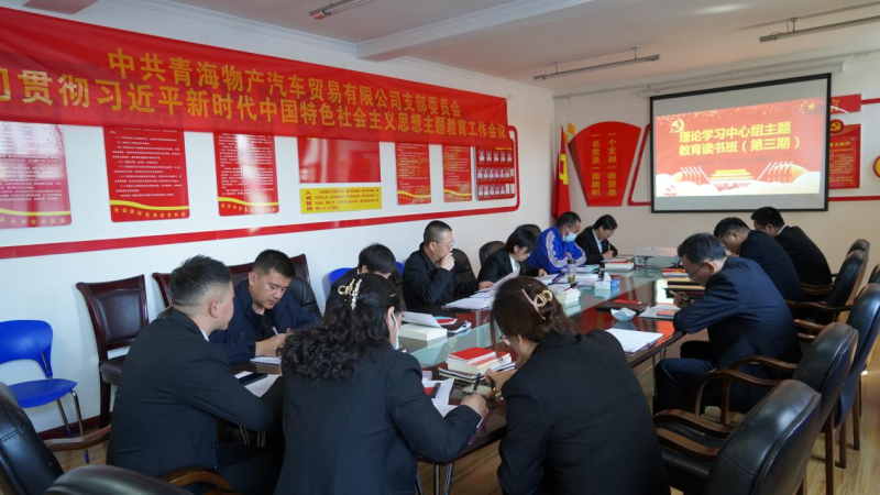 把牢“五个贯穿始终”  持续推进主题教育走深走实 ——星空娱乐汽贸党支部认真贯彻落实5.12集团党建暨主题教育工作推进会精神