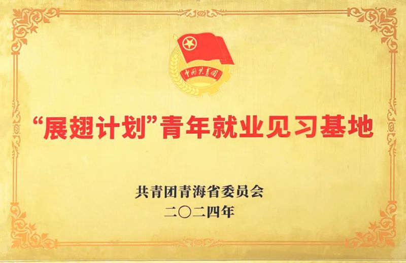 星空娱乐工投公司被团省委授予“展翅计划”首批青年就业见习基地