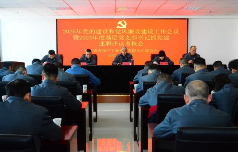 星空娱乐工投公司党委召开2025年党的建设和党风廉政建设工作会议暨2024年度基层党支部书记抓党建述职评议考核会