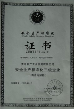 青海星空娱乐工业投资有限公司安全生产标准化三级企业审核达标