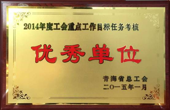推进工会工作落实，，，，，，，提升服务职工水平