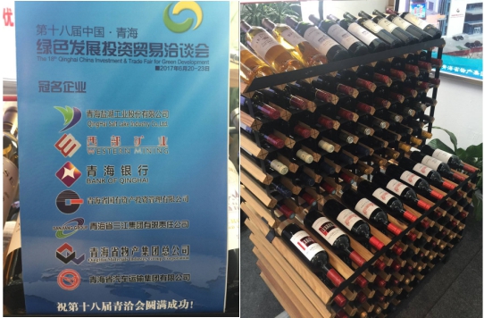 星空娱乐集团助推“青洽会”圆满成功