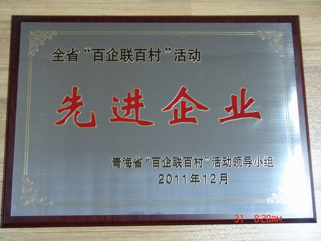 青海星空娱乐集团荣获全省百企联百村活动先进企业