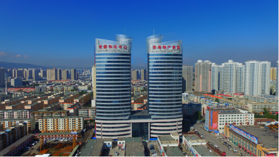 青海4家企业，，，，，，荣登2018中国企业500强等排行榜
